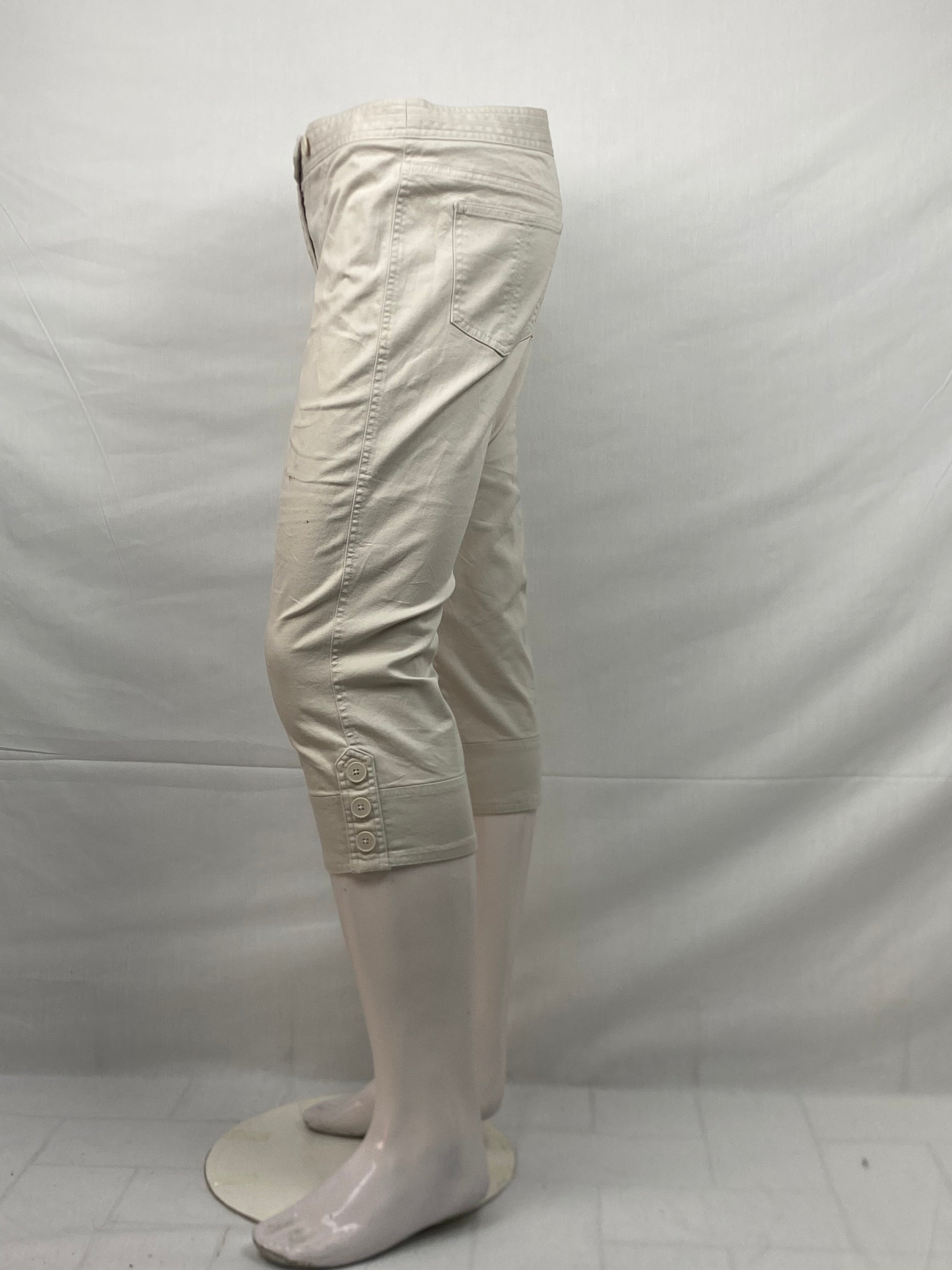 Ann Taylor Loft Petites